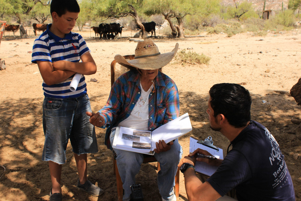 Doctorado en Estudios y Proyectos Socioeducativos